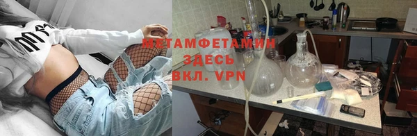 ПСИЛОЦИБИНОВЫЕ ГРИБЫ Горно-Алтайск