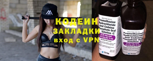 ПСИЛОЦИБИНОВЫЕ ГРИБЫ Горно-Алтайск