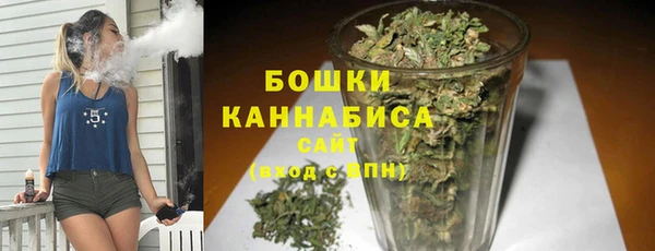ПСИЛОЦИБИНОВЫЕ ГРИБЫ Горно-Алтайск