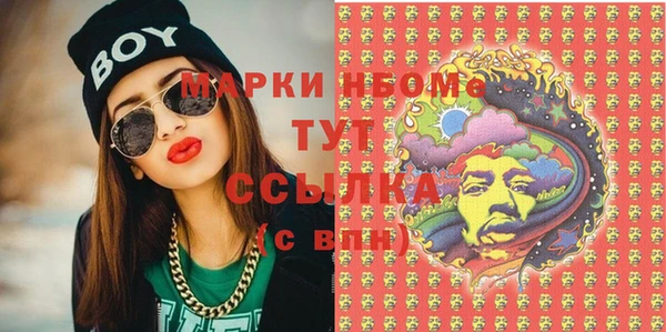 ПСИЛОЦИБИНОВЫЕ ГРИБЫ Горно-Алтайск