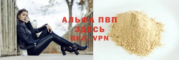 ПСИЛОЦИБИНОВЫЕ ГРИБЫ Горно-Алтайск