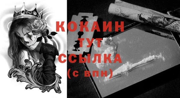 ПСИЛОЦИБИНОВЫЕ ГРИБЫ Горно-Алтайск