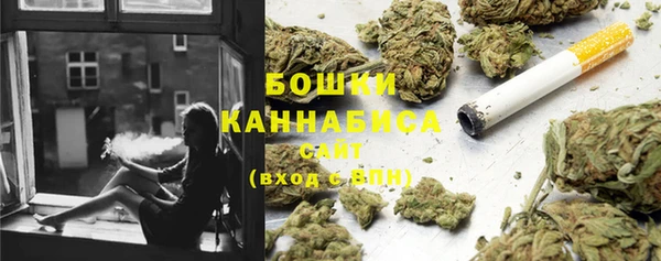 соль ск Горнозаводск