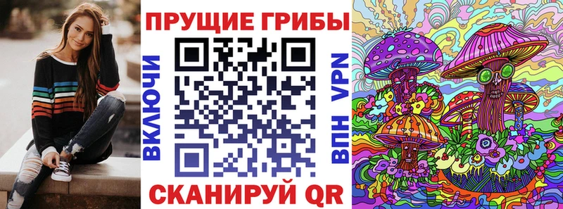 Псилоцибиновые грибы мицелий Сочи