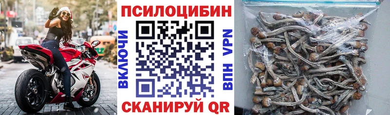 Псилоцибиновые грибы мухоморы  Сочи 